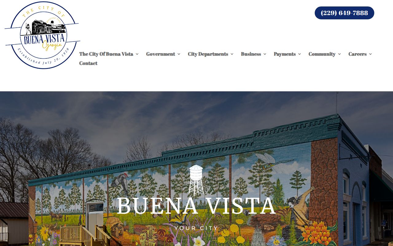 Buena Vista court docket official city history and services